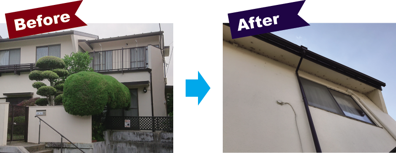 Before After